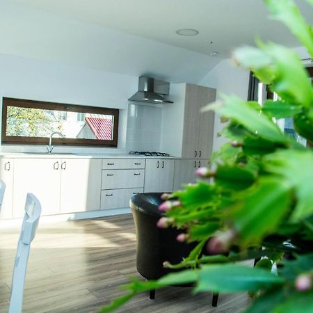 Krauss Apartments Piatra Neamţ Zewnętrze zdjęcie